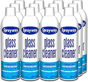 Sprayway Glass Cleaner - 19 oz