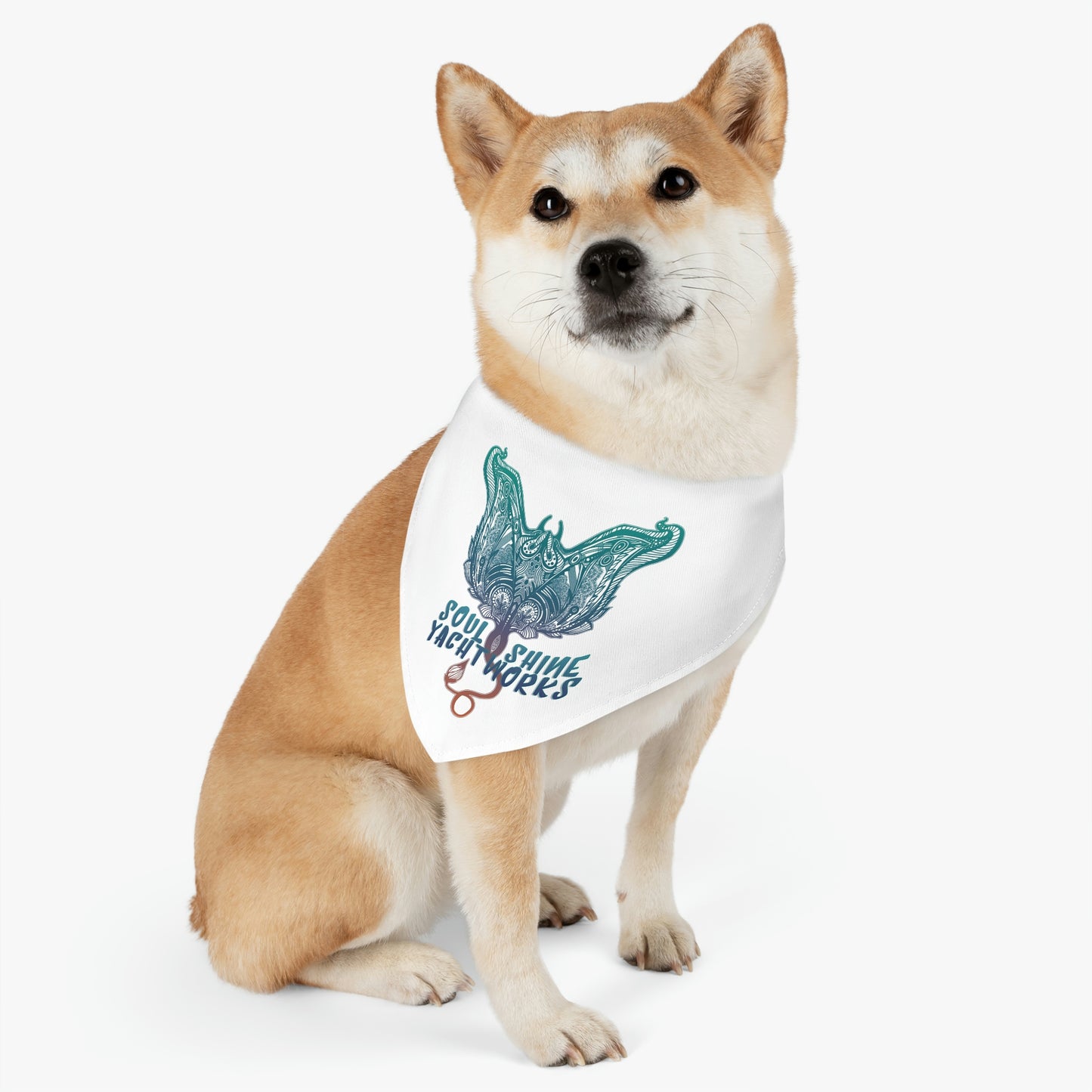 Soul Shine Manta Pet Bandana Collar